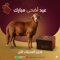 اضحيه سواكني