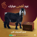 اضحية تيس